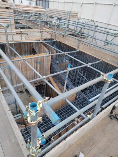 今日は地中梁の応援です。