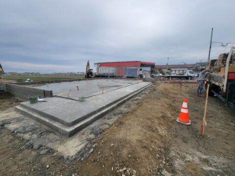 森林解体完了。